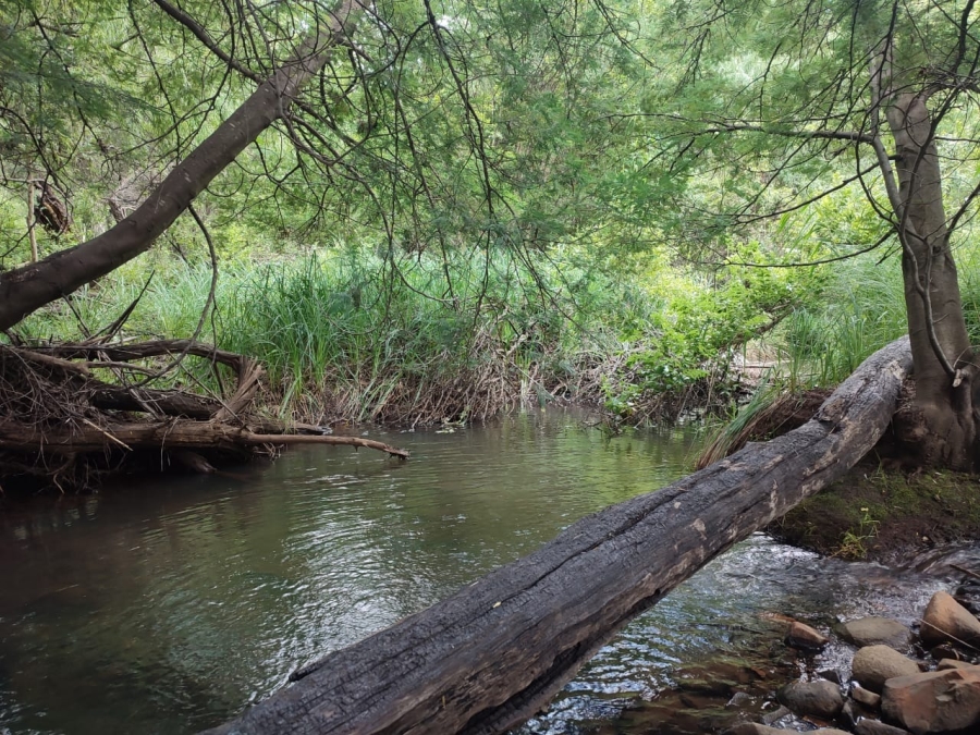 0 Bedroom Property for Sale in Swartruggens North West